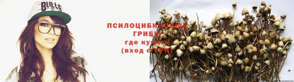 MDMA Premium VHQ Дмитриев