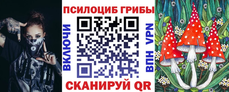Купить закладки  Петухово  Галлюциногенные грибы MAGIC MUSHROOMS 