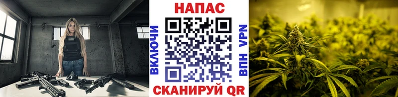 Купить закладки Петухово Канабис MAZAR